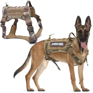 Gilet Tactique Militaire pour Chien
