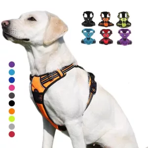 Harnais pour chien Easy Walk No Pull