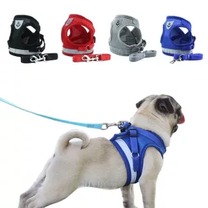 Harnais en maille avec laisse pour chiots, petits et moyens chiens