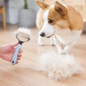 Peigne de toilettage pour chiens