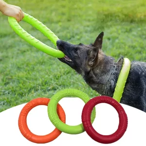 Jouet à mâcher pour chien en caoutchouc pour l'entraînement