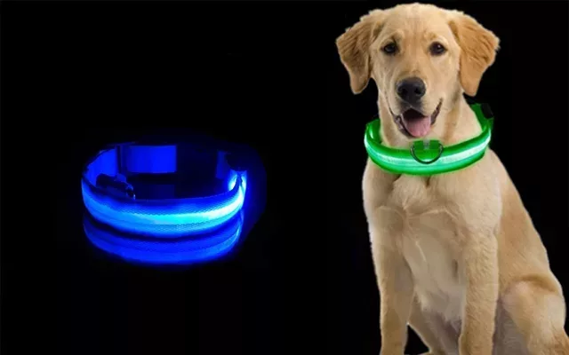 dog collar, led dog collar, light dog collar, glow dog collar, glow in the dark dog collar, flashing dog collar, rechargeable dog collar