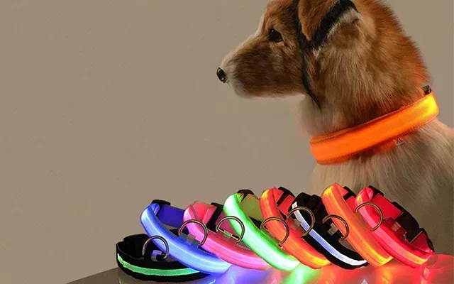 dog collar, led dog collar, light dog collar, glow dog collar, glow in the dark dog collar, flashing dog collar, rechargeable dog collar