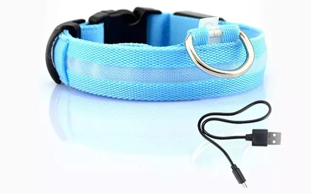 dog collar, led dog collar, light dog collar, glow dog collar, glow in the dark dog collar, flashing dog collar, rechargeable dog collar