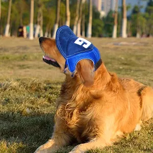Casquette de Baseball pour Chien avec Ouvertures pour les Oreilles