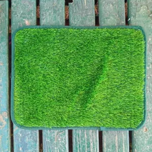 Tapis d'entraînement pour toilettes pour chien reçu du client S****e.