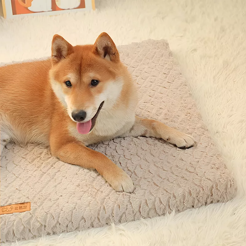 washable dog bed, plush dog bed, dog bed with removable cover