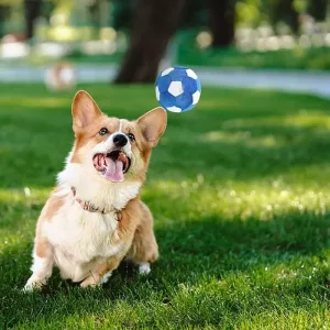 dog squeak toy, dog ball toy, football dog toy