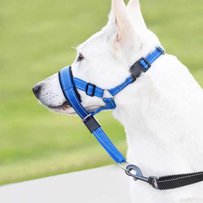 dog muzzle, anti bark muzzle, dog mouth muzzle, dog mouth cover, nylon muzzle