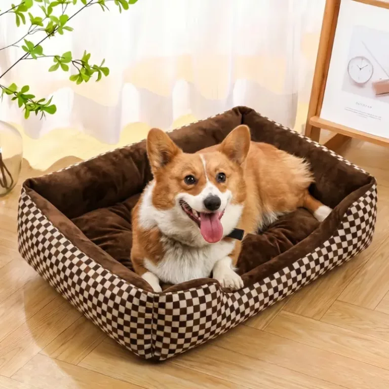 dog bed, dog bed with high sides, round dog bed, raised dog bed