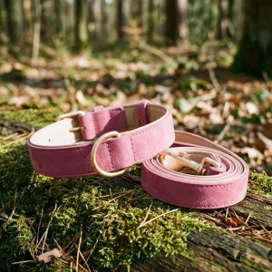 Ensemble Collier et Laisse pour Chien Doux