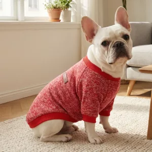 dog sweater, fluffy dog sweater, winter dog jumper, cute dog sweaters
