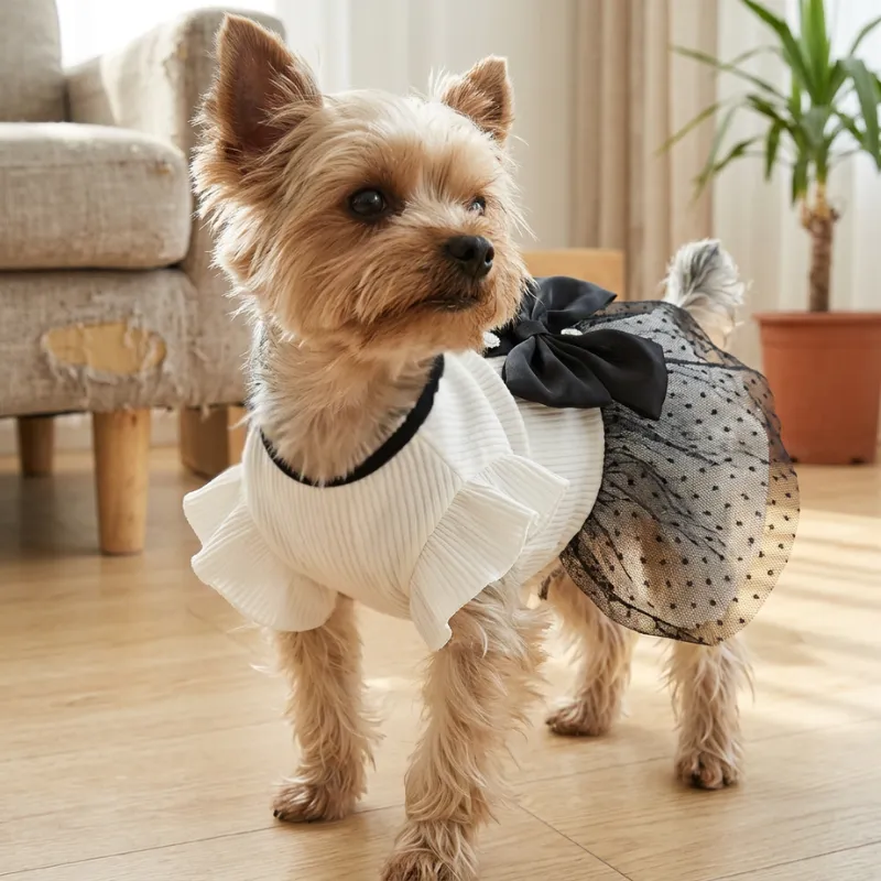 skirt and shirt set