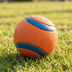 dog fetch ball