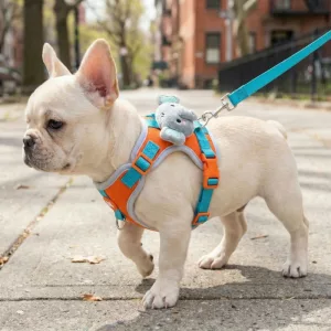 dog vest harness, harness leash set