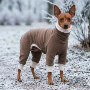 dog sweaters with four legs, four legged dog coat