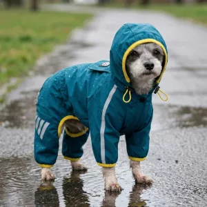 reflective dog raincoat