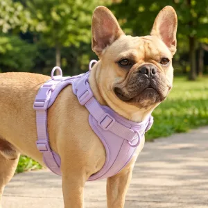 Gilet harnais pour chien en nylon respirant anti-traction