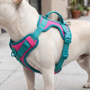 Harnais pour chien mignon, respirant et anti-traction