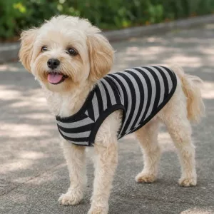 T-shirt d’été rayé en coton pour chien