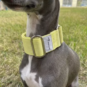 leather dog collar