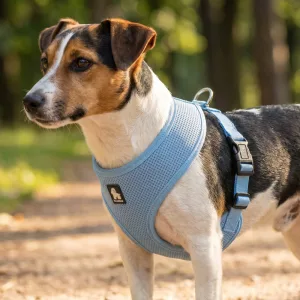 Harnais pour chien en nylon respirant en maille anti-traction