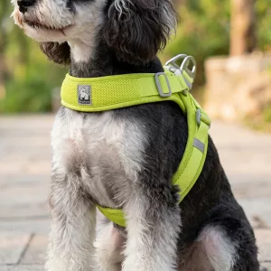 Gilet harnais en maille douce et respirante anti-traction pour chien