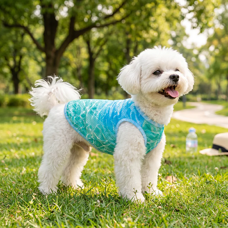 dog sun protection shirt
