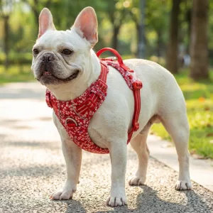 Harnais pour chien en coton, floral mignon, réfléchissant et anti-traction