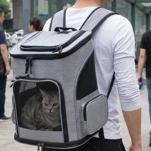 Sac à dos de transport pliable et respirant en maille pour chat et animal de compagnie