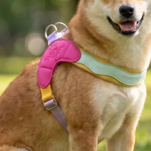 Harnais-gilet pour chien coloré, doux, anti-traction, en Y