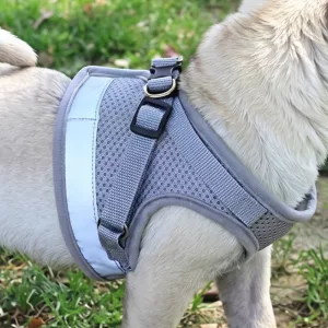 Ensemble gilet harnais et laisse respirant en maille anti-traction pour chien