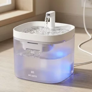 Grande fontaine à eau automatique pour chat avec filtre et distributeur d'eau