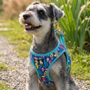 Harnais-gilet doux réfléchissant anti-traction mignon pour chien
