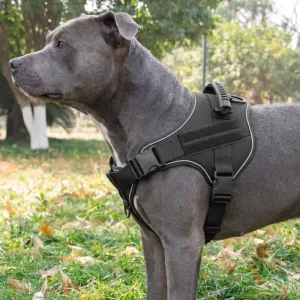 Gilet harnais tactique respirant de dressage pour chien