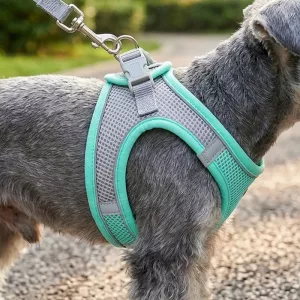 Ensemble gilet harnais et laisse en nylon respirant anti-traction pour chien