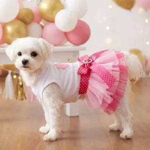 Jolie robe de fête élégante pour chien avec jupe en tulle