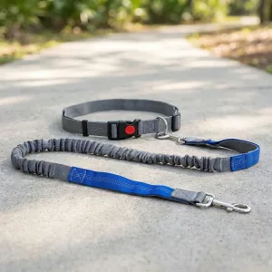Laisse réfléchissante en nylon mains libres pour chien avec ceinture