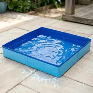 Piscine pliable pour chien