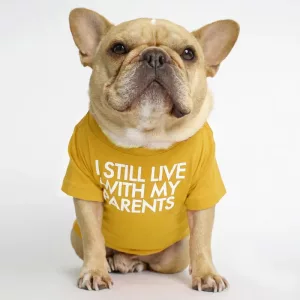 T-shirt amusant en coton respirant pour chiens