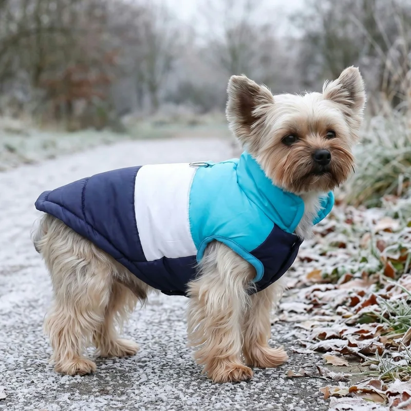 dog puffer jacket, dog vest coat, waterproof dog jacket, dog coat with d-ring, dog puffer vest