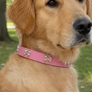 Collier pour chien durable avec joli motif os