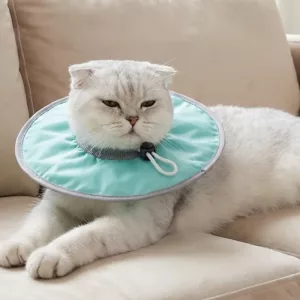 Collier de récupération pour chat, cône de protection du cou avec cordon de serrage