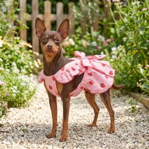 Robe d’été à fraises mignonne et respirante pour chiens