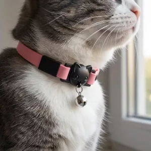 Collier mignon pour chat avec clochette