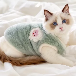 Pull chaud et mignon pour chat, gilet doux en peluche pour animal