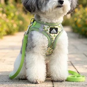 Ensemble gilet harnais et laisse pour chien en nylon, maille douce respirante anti-traction
