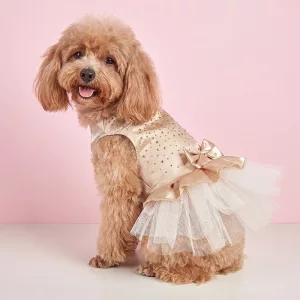 Robe de princesse fantaisie pour chien avec jupe en tulle