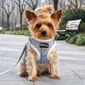Ensemble harnais-gilet chaud d’hiver anti-traction avec laisse pour chien