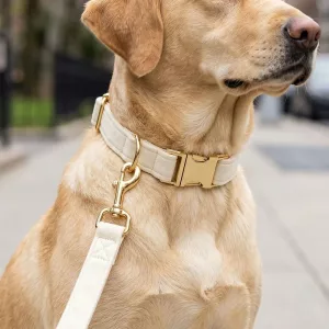 dog collar leash set
